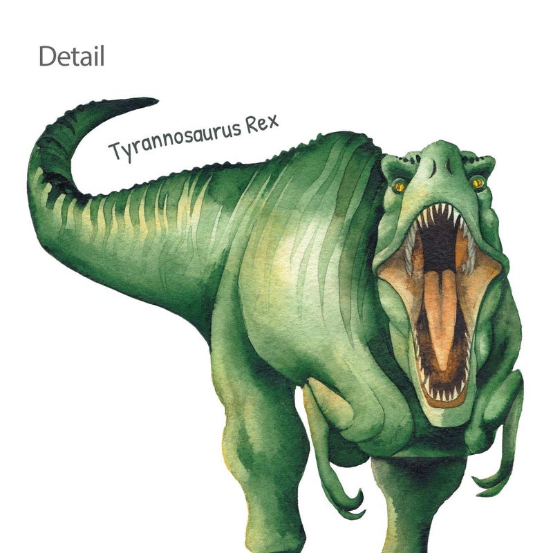 DECOWALL DS-8034 Watercolour Dinosaur Kids Wall Stickers Wall Decals Peel and Stick Removable Wall Stickers for Kids Nursery Bedroom Living Room (Small) d?cor - Image 4